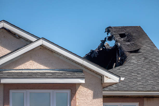 Top rated local Odor Removal specialists in Shakopee, MN